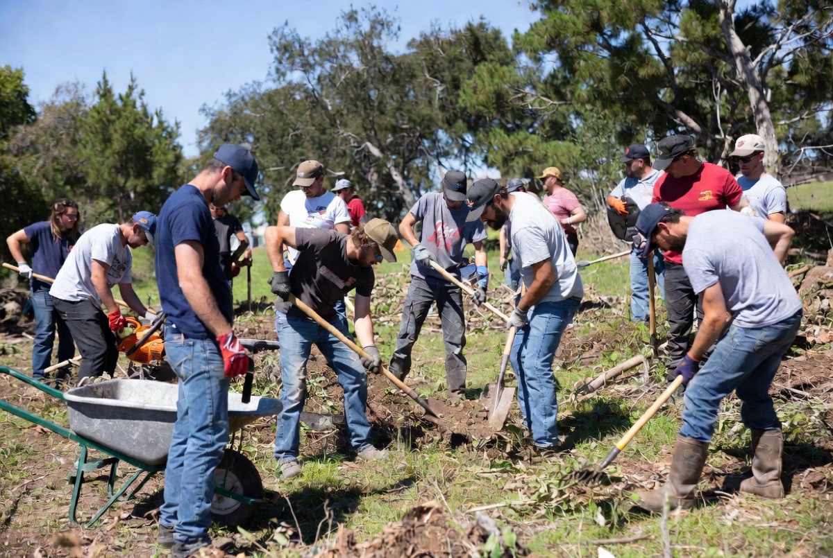 Crew clearing land with hand tools